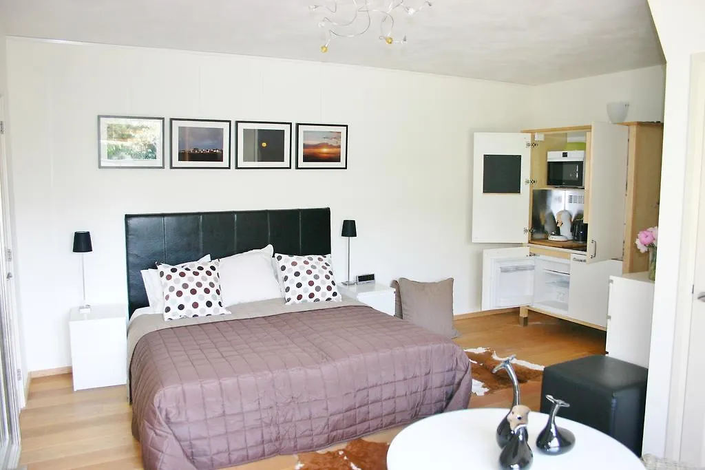 De Duintop Apartment Zandvoort