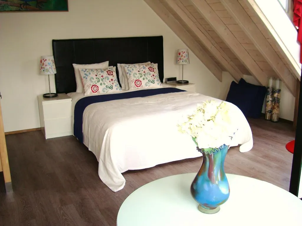 De Duintop Apartment Zandvoort